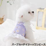 ドッグウェア 犬服 ワンピース | PlusNao | 詳細画像13