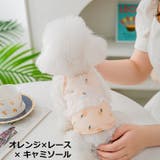 ドッグウェア 犬服 ワンピース | PlusNao | 詳細画像14