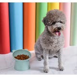フードボウル ペット用食器 ペット用品 | PlusNao | 詳細画像2 