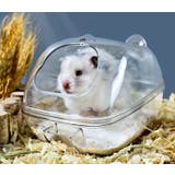 ハムスタートイレ ハムスターハウス 小動物用 | PlusNao | 詳細画像2 