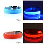 光る首輪 カラー 犬用首輪 | PlusNao | 詳細画像9