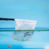 フィッシュネット 伸縮式 鑑賞魚用 | PlusNao | 詳細画像11 