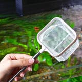 フィッシュネット 伸縮式 鑑賞魚用 | PlusNao | 詳細画像2 