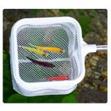 フィッシュネット 伸縮式 鑑賞魚用 | PlusNao | 詳細画像8 