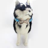 首輪 犬 猫 | PlusNao | 詳細画像2