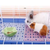 小動物用すのこ スノコ ケージマット | PlusNao | 詳細画像2