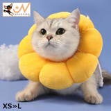 エリザベスカラー 猫 犬 | PlusNao | 詳細画像1