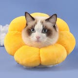 エリザベスカラー 猫 犬 | PlusNao | 詳細画像3