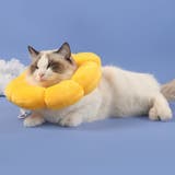 エリザベスカラー 猫 犬 | PlusNao | 詳細画像5