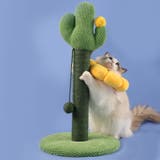 エリザベスカラー 猫 犬 | PlusNao | 詳細画像6