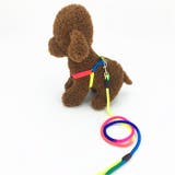 ハーネス リード 2点セット | PlusNao | 詳細画像9 