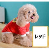 ペットウェア トレーナー ペット用 | PlusNao | 詳細画像12