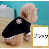 ペットウェア トレーナー ペット用 | PlusNao | 詳細画像13