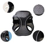 ハーネス リード 2点セット | PlusNao | 詳細画像9 