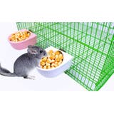 フードボウル 小動物用 ハムスター用 | PlusNao | 詳細画像2