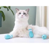 猫用足カバー 爪カバー 猫靴 | PlusNao | 詳細画像2
