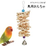 鳥用おもちゃ 鳥 バード | PlusNao | 詳細画像1
