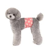 マナーベルト マナーバンド ペット用品 | PlusNao | 詳細画像3 