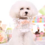 犬用首輪 襟付 カラー | PlusNao | 詳細画像2