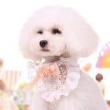 犬用首輪 襟付 カラー | PlusNao | 詳細画像3