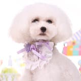 犬用首輪 襟付 カラー | PlusNao | 詳細画像4