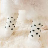 犬用靴下 レッグウォーマー ニット | PlusNao | 詳細画像5