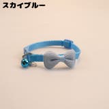 首輪 カラー 犬用 | PlusNao | 詳細画像8
