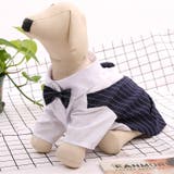 ペットウェア ドッグウェア 犬服 | PlusNao | 詳細画像10 