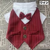 ペットウェア ドッグウェア 犬服 | PlusNao | 詳細画像17 