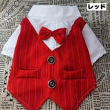 ペットウェア ドッグウェア 犬服 | PlusNao | 詳細画像18 
