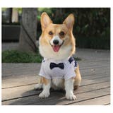ペットウェア ドッグウェア 犬服 | PlusNao | 詳細画像7 