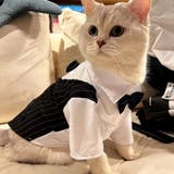 ペットウェア ドッグウェア 犬服 | PlusNao | 詳細画像9 