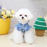 ドッグウェア ペット服 ペットウェア | PlusNao | 詳細画像4 