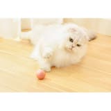 猫用おもちゃ 電動ボール USB充電式 | PlusNao | 詳細画像5