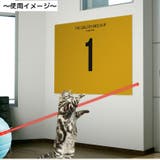 猫用おもちゃ 電動ボール USB充電式 | PlusNao | 詳細画像5