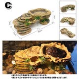 シェルター 浮島 爬虫類 | PlusNao | 詳細画像4