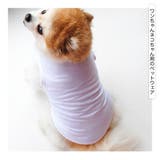 ペットウェア ドッグウェア 犬の服 | PlusNao | 詳細画像2