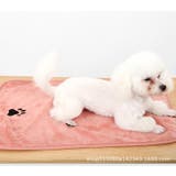 ペット用タオル 単品 1枚 | PlusNao | 詳細画像4