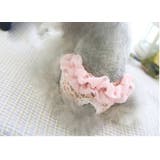 犬用 マナーパンツ サニタリーパンツ | PlusNao | 詳細画像2 