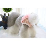 犬用 マナーパンツ サニタリーパンツ | PlusNao | 詳細画像3 