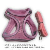 ハーネス リード 2点セット | PlusNao | 詳細画像12 