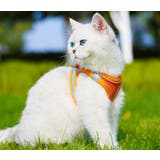 ハーネス リード 2点セット | PlusNao | 詳細画像4 