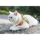 ハーネス リード 2点セット | PlusNao | 詳細画像5 