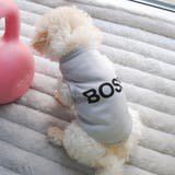 ドッグウェア 犬服 犬用ウェア | PlusNao | 詳細画像10 