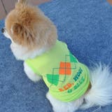 ドッグウェア 犬服 犬用ウェア | PlusNao | 詳細画像3 
