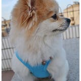 ドッグウェア 犬服 犬用ウェア | PlusNao | 詳細画像8 