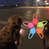 ペット用チャーム 犬用首輪用チャーム 犬 | PlusNao | 詳細画像2 