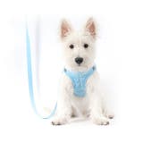 ハーネス リード 2点セット | PlusNao | 詳細画像3 