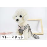 ハーネス リードつき セット | PlusNao | 詳細画像10 