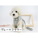 ハーネス リードつき セット | PlusNao | 詳細画像12 